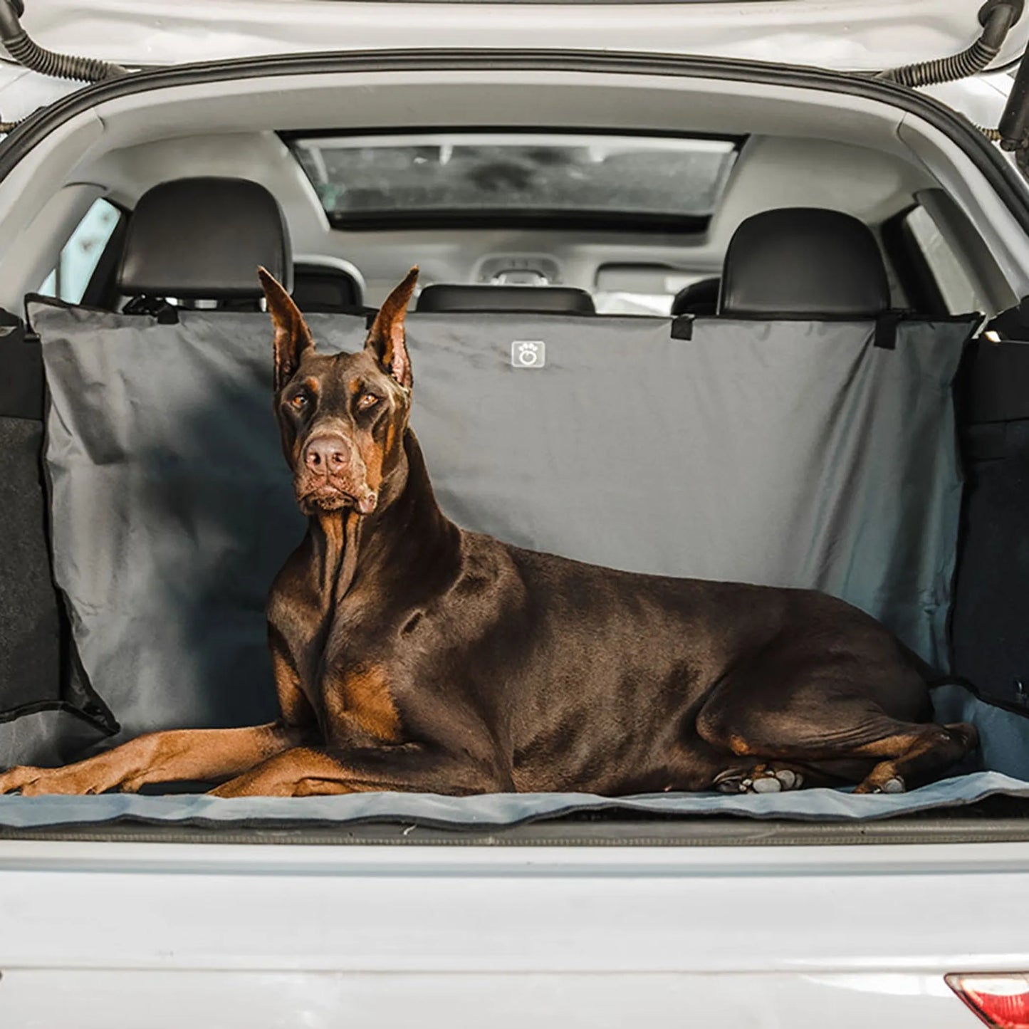 GF Pet Cargo Cover β Waterproof Trunk Protector