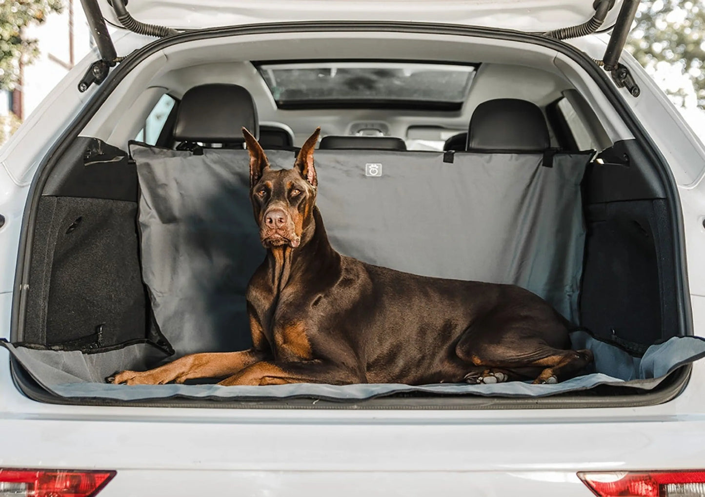 GF Pet Cargo Cover — Waterproof Trunk Protector