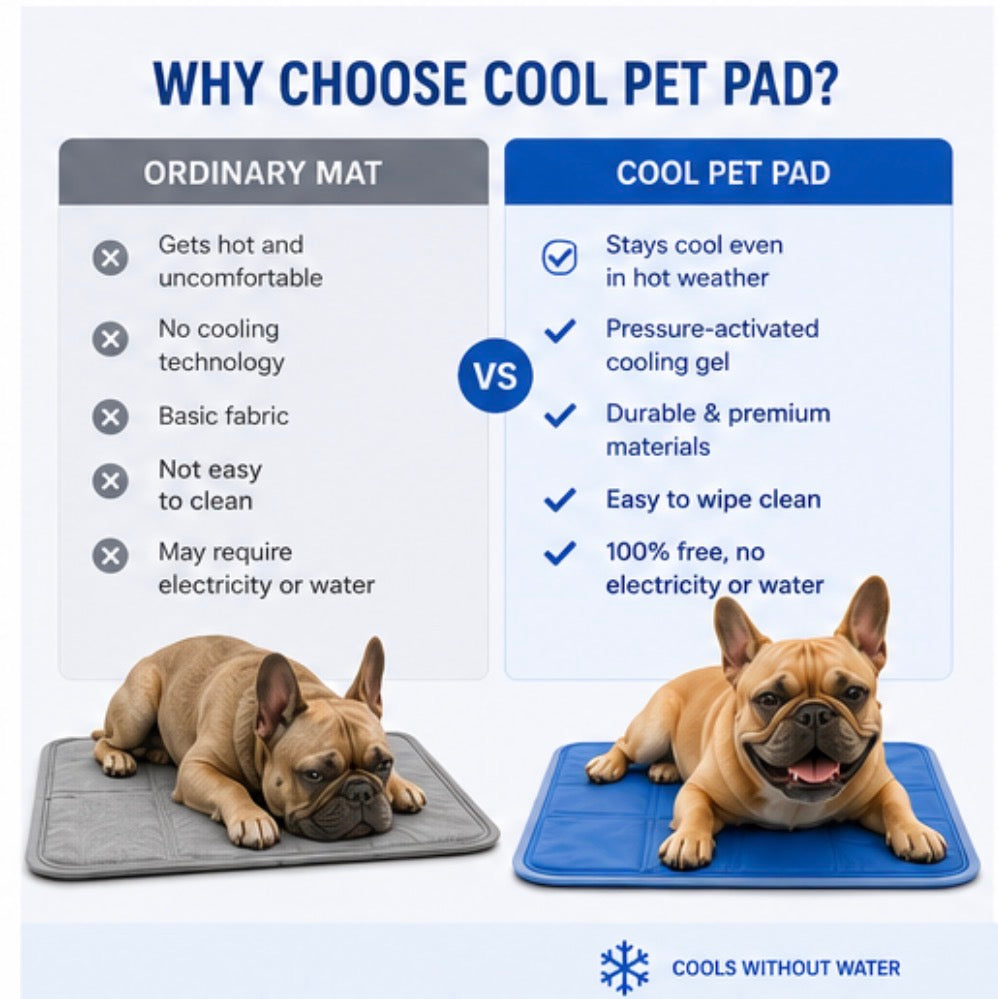 Cool Pet Pad